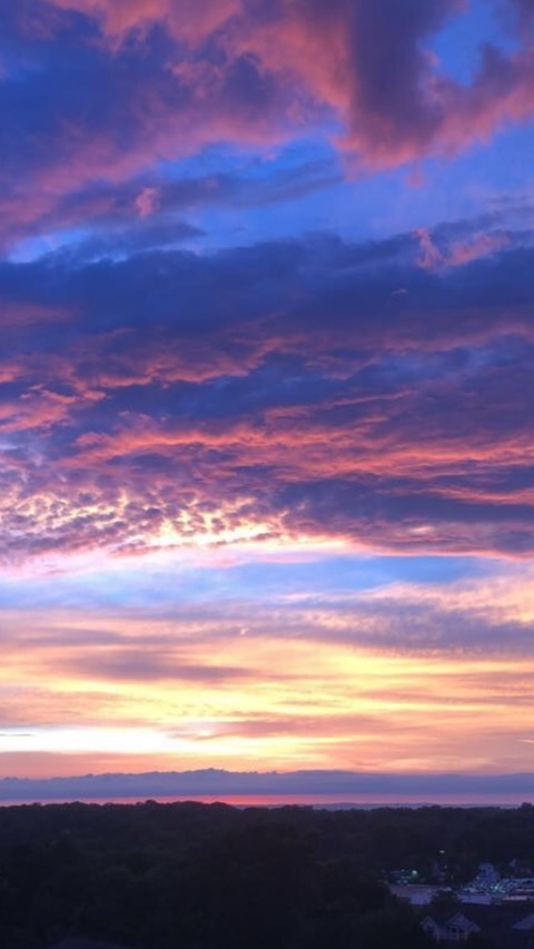 xoxo_euphoric header picture leakfans.com