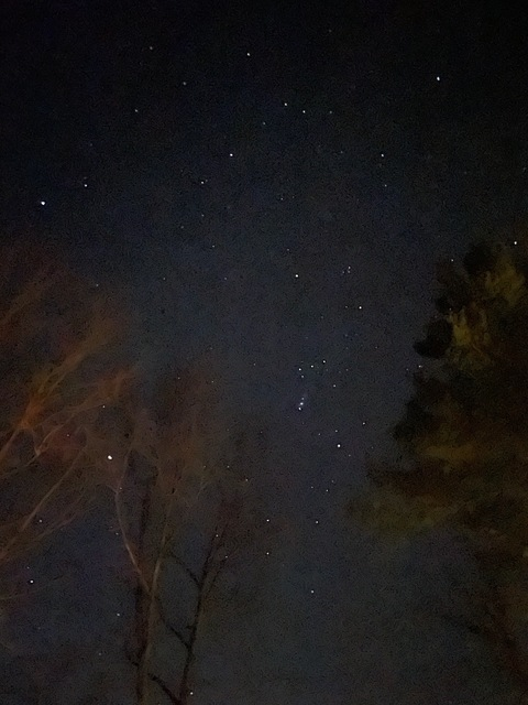 xoxorave header picture leakfans.com