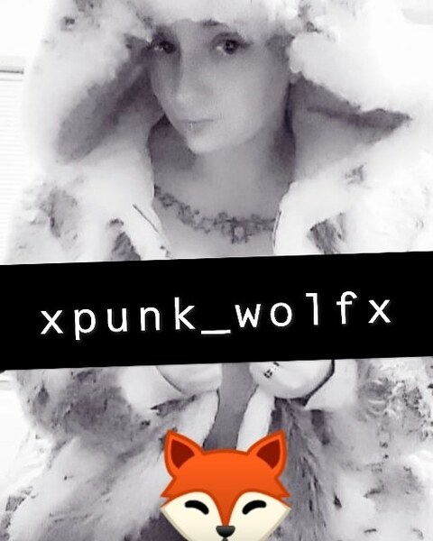 Header of xpunk_wolfx