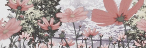 xspades3x header picture leakfans.com