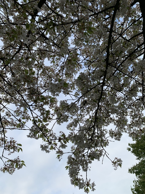 xsxaxhx header picture leakfans.com