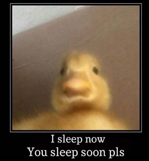 xtempestx header picture leakfans.com