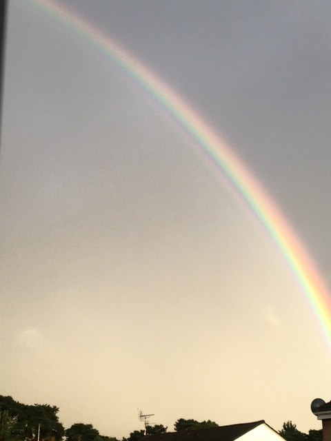 xxbellesxx header picture leakfans.com