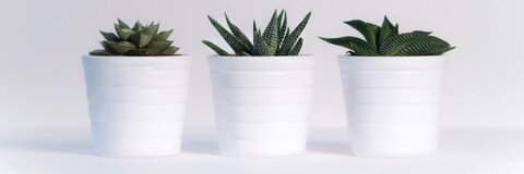 xxcyrusmariexx header picture leakfans.com