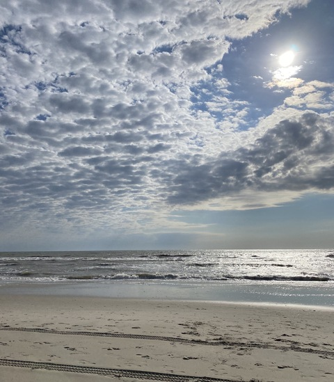 xxheidixxann header picture leakfans.com