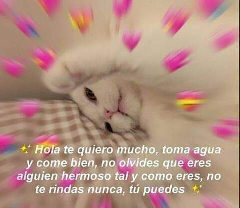 xxigotneedsxx header picture leakfans.com