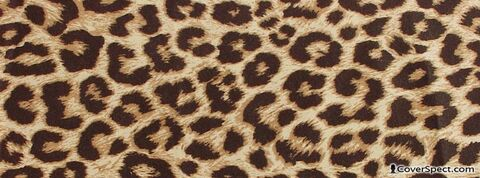 xxkittens header picture leakfans.com