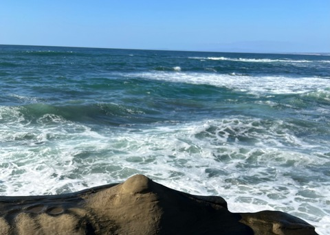 xxnvxoxx header picture leakfans.com