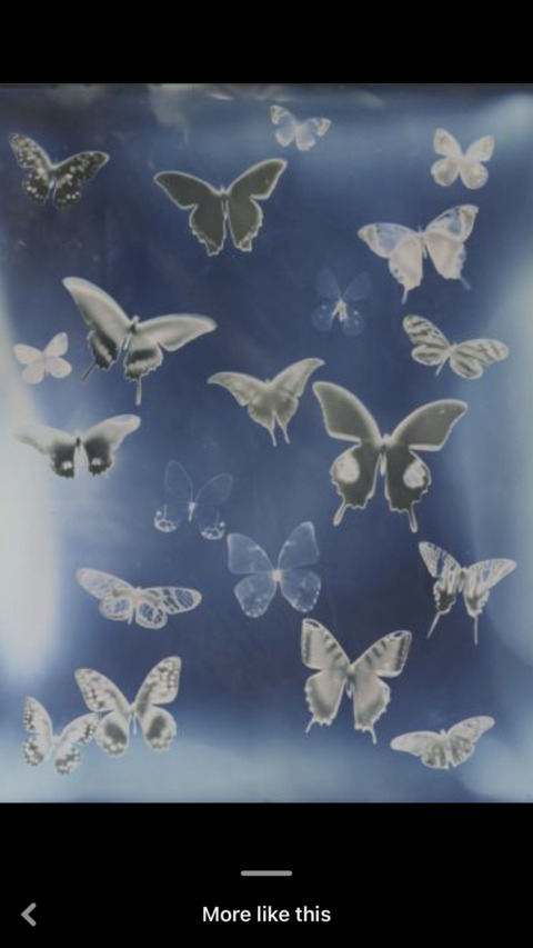 xxobaybeeoxx header picture leakfans.com