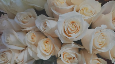 xxsarbryanxx header picture leakfans.com