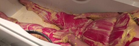 xxsissyslavexx header picture leakfans.com