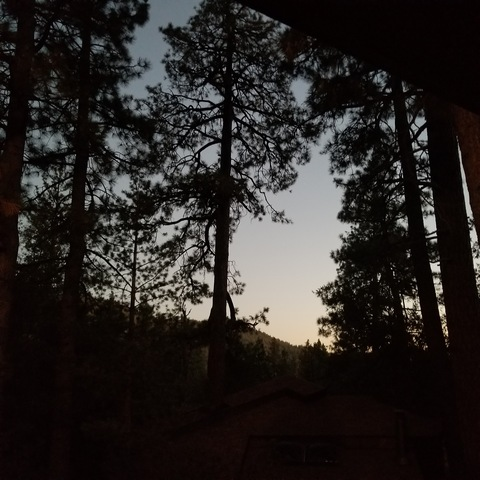 xxx_liltle_ header picture leakfans.com