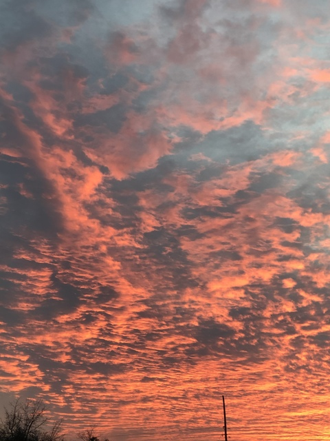 xxxdunesxxx header picture leakfans.com