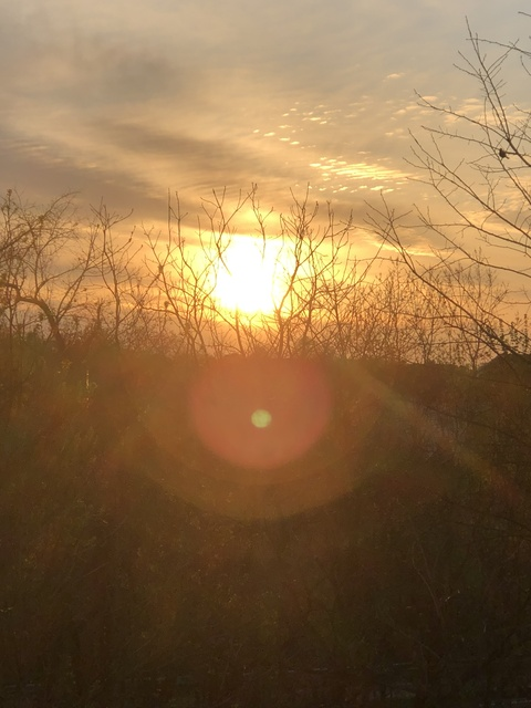 xxxsilverfoxxx header picture leakfans.com