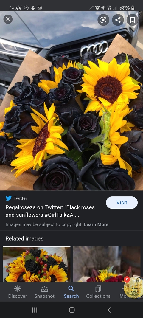 xxxsupathowed header picture leakfans.com