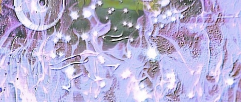 yamaguchi_ header picture leakfans.com