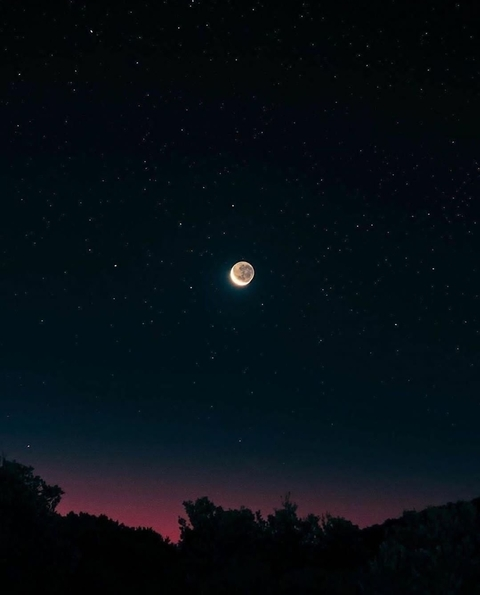 yaneh header picture leakfans.com