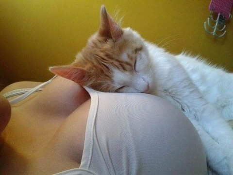 yasmin.only12 header picture leakfans.com