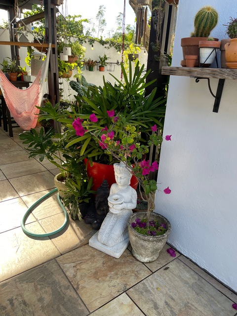 yensile header picture leakfans.com