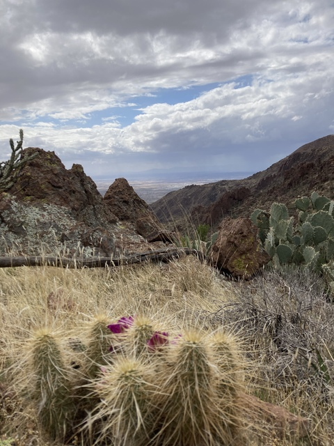 yessicaeisme header picture leakfans.com