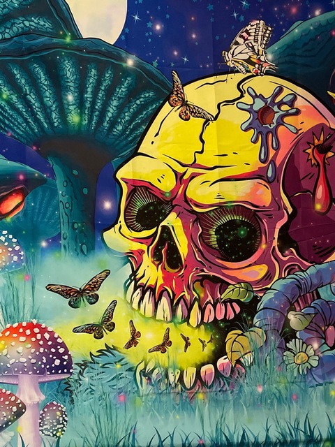 ygkb23 header picture leakfans.com