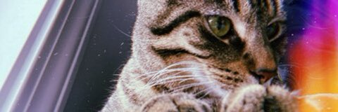 young_tmoe header picture leakfans.com