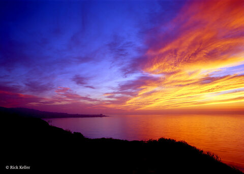 your1fetishqueen header picture leakfans.com