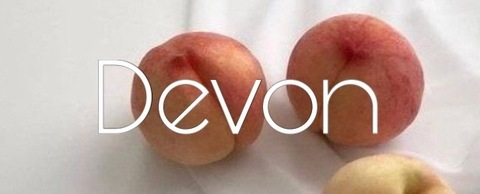 Header of your_devon