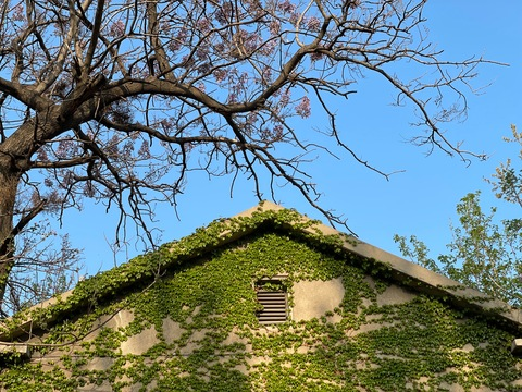 yourdrug66 header picture leakfans.com