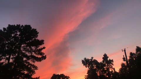 yourfavorita header picture leakfans.com