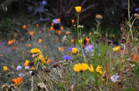 yourlocalsugarbaby header picture leakfans.com