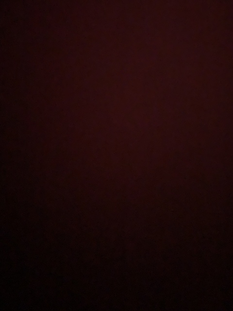 yournewfavgirl header picture leakfans.com