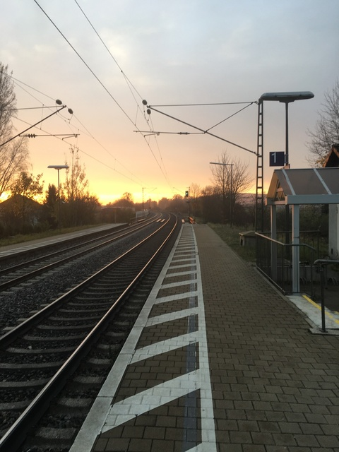 yourpalizzy94 header picture leakfans.com