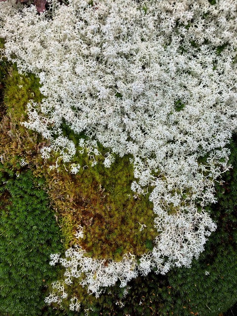 yucky.brat header picture leakfans.com