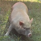 yugrac1 profile picture leakfans.com