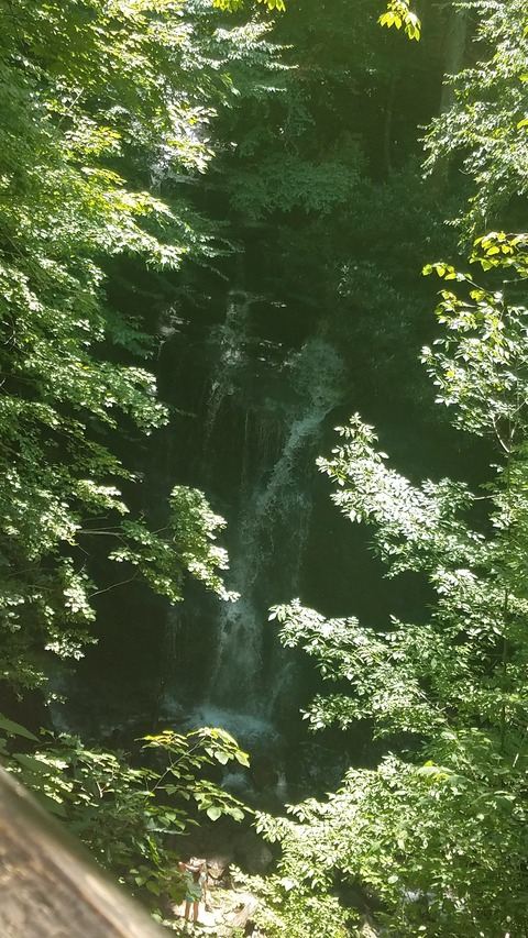 yummibella header picture leakfans.com