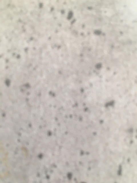 yvoycoycyicyocoyc header picture leakfans.com