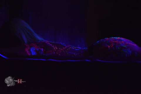 zakira88 header picture leakfans.com