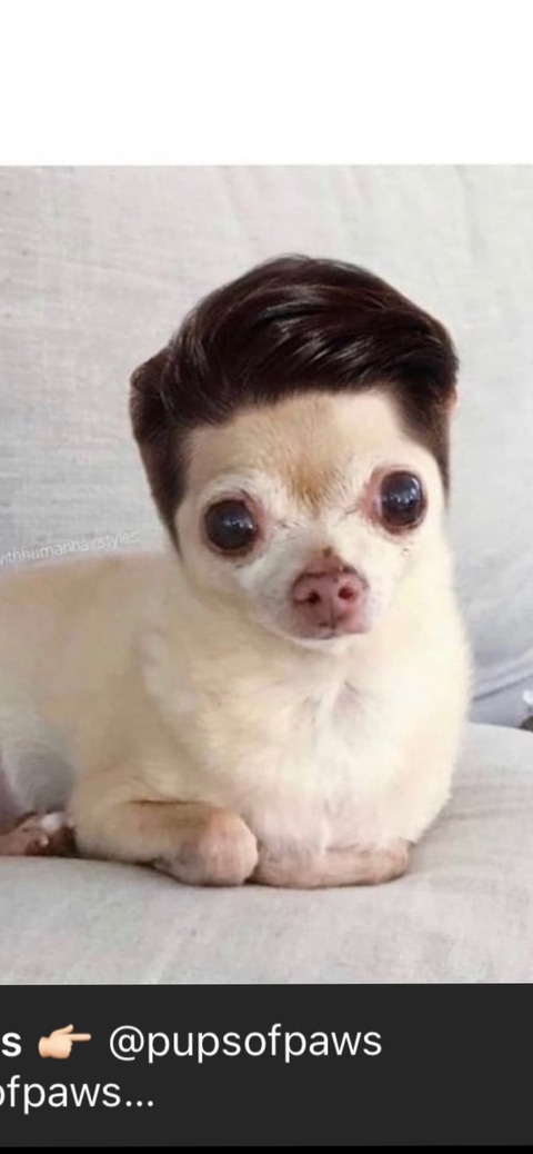 zaramannequin69 header picture leakfans.com