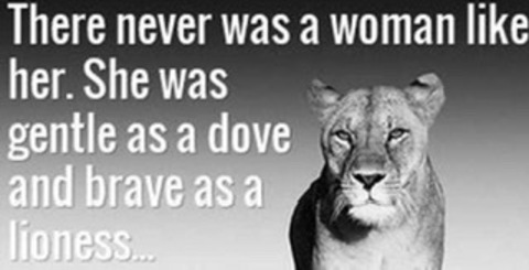 zendenalana header picture leakfans.com