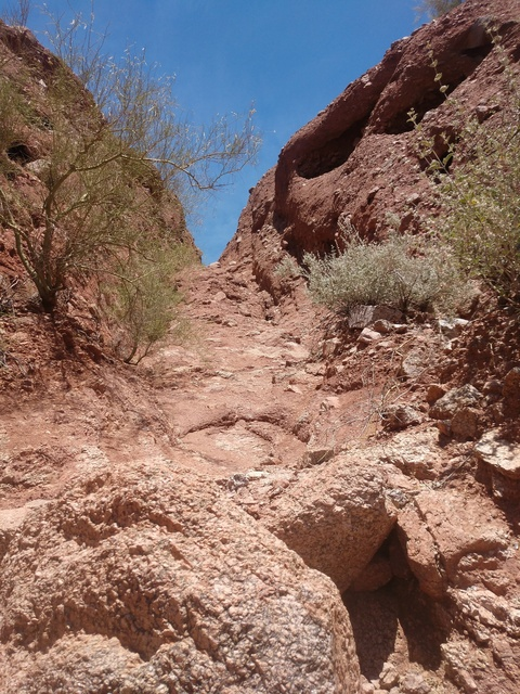 zensiboixxx header picture leakfans.com