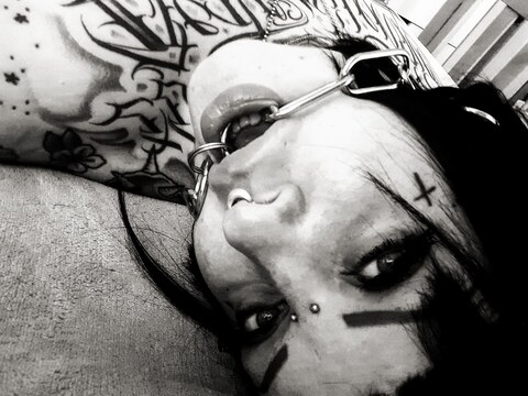 zibridog header picture leakfans.com