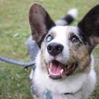 ziggystardust profile picture leakfans.com