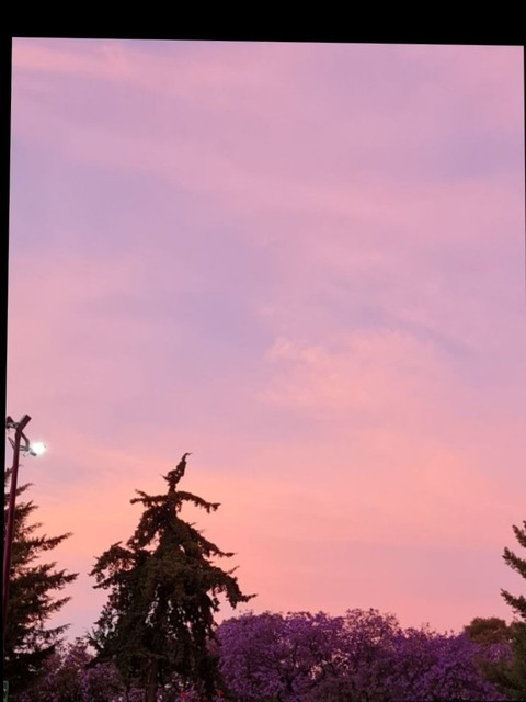 zinay_n header picture leakfans.com