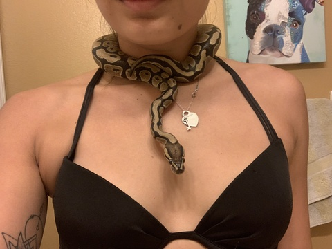 zoebugsonly header picture leakfans.com