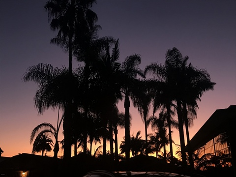 zoeybaby99 header picture leakfans.com