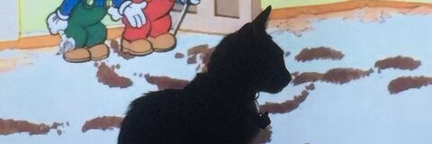 zorrotumb header picture leakfans.com