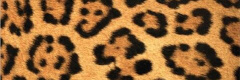 zsuzsustarr header picture leakfans.com