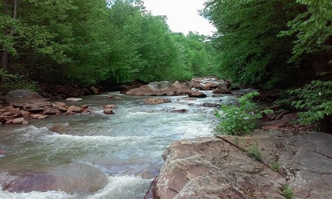 zz814 header picture leakfans.com